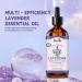 Lavender Essential Oil Multi Use for Face Body and Hair Lavender Oil for Therapeutic Massage Soothes Moisturizes and Nourishes Skin Aromatherapy Massage Oil - Buy Online on GoSupps.com