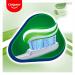 Colgate Triple Action Xtra Fresh Toothpaste - 12 x 75ml | Fluoride Protection Cavity Defense Whiten Teeth & Fresh Breath for the Whole Family - New Version - Buy Online on GoSupps.com