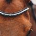 Schockem hle EQUITUS BETA Anatomical Special Bridle - Black Silver VB | Premium Equestrian Gear for International Shipping - Buy Online on GoSupps.com