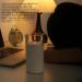 Essential Oil Diffuser - 3D Flame Candle Light USB Aromatherapy Humidifier for Home Car & Office | Ultra Quiet 60ml Capacity - Buy Online on GoSupps.com