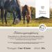 Annimally Joint Powder for Horses 850g - Collagen MSM Glucosamine & More | Strengthen Horse Joints - Alternative to Liquid - Buy Online on GoSupps.com