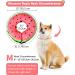 Inflatable Protective Collar for Dogs & Cats | Adjustable Recovery Rake & Crane Design | Leak Protection for Post-Operative Care | Size M (Neck 20.3cm-30.5cm) - Buy Online on GoSupps.com