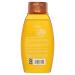 Aveeno Apple Cider Vinegar Sulfate-Free Shampoo - 12 Fl Oz - Buy Online on GoSupps.com