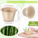 Romooa 2 oz Bagasse Fiber Souffle Cups - 300 Count | Disposable Mini Paper Condiment Bowls for Snacks, Desserts & Sauces - Beige - Buy Online on GoSupps.com