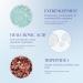 iS CLINICAL Reparative Moisture Emulsion - Hydrating Anti-Aging Face Moisturizer with Hyaluronic Acid | Repair & Protect Skin Worldwide - Buy Online on GoSupps.com