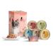 catz finefood Wet Cat Food - Fine Fillets in Jelly - Grain Free Wet Food for Your Cat - Sugar Free - Premium Wet Cat Food in
