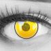 Colored contact lenses 1 pair of yellow demon neuko cat yellow anime manga - highly opaque - Heroes of Cosplay - annual lenses for costumes cosplaye halloween with free lentil tank - without strength 2 pieces (1 Pack)