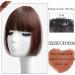 Bangs Hair Clip Synthetic Princess Cut Bangs Wig Female Bangs Hair Fake Bangs Natural Forehead Wig Piece Bangs Clip in Hair(Color:Dark brown) - Buy Online on GoSupps.com