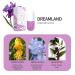 Body Spray for Women Long Lasting Body Mist and Fragrance Spray Travel Size Womens Body Spray Refreshing Body Splash for Hair & Body Available in Various Scents Dreamy Secret Realm - Buy Online on GoSupps.com