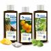 Spitzner sauna infusion set emotion (3 x 190 ml)-wellness sauna with aromatic sauna air pineapple coconut orange and lemon grass basil