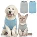 2-pack dog clothing dog sweater dog shirt for small dogs cats cotton dog clothing single-colored dogs T-shirts clothing soft and air-permeable chihuahua clothing shirt for dogs large XL gray+blue