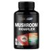 Cadane Mushroom Complex Supplements - 19in1 Concentrated with Lions Mane Cordyceps Sinensis Reishi Turkey Tail Mushroom Maitake Chaga Shiitake Enoki & More - 120 Caps for 4 Months Supply