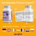 Vegan L-Tyrosine with Niacin and Vitamin B12 (365 Capsules) High Dosed to 1000 mg and Pure Against Fatigue and Regulates Hormonal Activity* No Additives Laboratory Tested - Buy Online on GoSupps.com