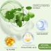 Centella Asiatica Face Serum - Centella Serum for Face Repair Centella Asiatica Anti Wrinkle Serum Facial Serum For Soothing Calming Hydrating Serum Face Care Serum For All Skin Types 100 ml - Buy Online on GoSupps.com