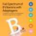 NANOWELL B Complex Premium(12BOXES) - Full Spectrum of B Vitamins for Energy Heart & Immune Support - B-Complex Supplement with Adaptogens - 60 Capsules 60-Day Supply X12 - Buy Online on GoSupps.com