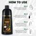 KAISASA Dark Brown Hair Dye Shampoo 3 in 1 for Gray Coverage - Herbal Ingredient Color Shampoo for Women & Men - Long Lasting 500ML - Buy Online on GoSupps.com