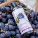Itinera Smoothing Body Wash with Tuscan Red Grapes - 95% Natural Vegan Aloe Vera & Glycerin - 12.51 fl oz - Shop Internationally - Buy Online on GoSupps.com