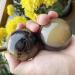 Unbit Stressball Ballstretcher - 50mm Magnetic Stress Relief Ball New Materials Gift Box Included | Manual Therapy & Movement Aid - Buy Online on GoSupps.com