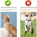 Orange Yellow Airtag Dog Collar - Silicone Cover for GPS Tracking - Anti-Loss & Safety Accessory for Pets - Buy Online on GoSupps.com