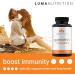 Quercetin 500mg with Bromelain: Cardiovascular & Anti-Inflammatory Support - 60 Capsules - Buy Online on GoSupps.com