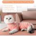 Buy Lianzimau After Op Cat Body - Long-Sleeved Recovery Wear for Cats | Orange Streaked (1 Pack) - Buy Online on GoSupps.com