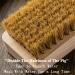 ProBusiness Clean Laundry Brush Set | Wooden Stain Remover with Boar Bristle | Effective Laundry Stain Remover Tool for All Fabrics - Buy Online on GoSupps.com