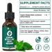 Organic KingHealth Stinging Nettle Extract Tincture - 98% Absorption, Vegan, Non-GMO - 1 fl oz - Buy Online on GoSupps.com