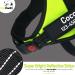 Pawpawify Personalized Dog Harness - No Pull Durable Training Harness for Dogs (Chest 24-31in Green) - Prevents Tugging & Choking - Buy Online on GoSupps.com