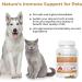Real Mushrooms Cordyceps Pet & Human Performance Bundle (120ct) - Energy & Vitality Supplement for Pets and Humans - Gluten-Free Non-GMO - Buy Online on GoSupps.com