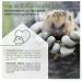Wildlife Home Igel Feed - Grain-Free 1kg Hedgehog Food with Insect Protein | Optimal Energy Supply & Species-Appropriate Nutrition - Buy Online on GoSupps.com