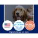 Naturel Promise Fresh & Soothing Chew Stopper Spray for Pets - Buy Online on GoSupps.com