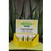 Aloe Vera Gold Lip Care Stick - Pack of 5 (5 x 5 ml) | Moisturizing & Soothing Lip Balm for Dry Lips | International Shipping Available - Buy Online on GoSupps.com