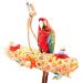 Bac-kitchen Parrot Cage Toys - 5 Pack Shredder & Foraging Hanging Toy Set for Budgie, Lovebirds, and Conures - Buy Online on GoSupps.com