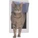 Medium Perfect Pet Soft Flap Cat Door with Telescoping Frame - 7 x 11.25 Flap Size - Buy Online on GoSupps.com