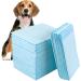 40 Count Dog Training Pads Extra Large Puppy Pads Disposable Absorbent & Leak-Proof XL Pet Pee Pads Housebreaking Supplies for Large Dogs Puppies Cats Rabbits and Kids - 36x32 Inch Blue - Buy Online on GoSupps.com