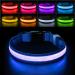 Luminous collar dog Charging dog collar luminous waterproof 7 color change adjustable LED light collar dogs for small medium large dogs for night safety blue-l l (48-60cm/19-23.6inch) 2022 blue