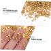 Healeved 1 Glass Chip Resin Colored Rhinestones 3d Nail Charms Rhinestone for Nails Bulk Crafts Nail Accessories Glass Charms Filling in Bulk Colored Bulk Filler Irregular 0.5X0.3cm Golden - Buy Online on GoSupps.com