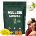 Mullein Gummies, Mullein Gummies for Lungs, Mullein Leaf Extract, Mullein Leaf Herb Extract, Lung Health and Sinus Relief (60pcs/1bag)