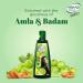 Nihar Naturals Shanti Badam Amla Hair Oil - 500ml | Nourishing & Strengthening Hair Oil for All Hair Types - Buy Online - Buy Online on GoSupps.com
