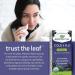 Nature's Way Sambucus Organic Cold and Flu Care Elderberry Syrup Used in Herbal Medicine to Help Relieve Symptoms (Coughs and Sore Throats) in Adults 120 ml 120 ml (Pack of 1) Medicine - Buy Online on GoSupps.com