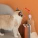 Pssopp Indoor Pet Interactive Toy Cat Toys LED Pointer Cat Flashlight Toy LED Projector Toy Cat Training Exercise Tool - Buy Online on GoSupps.com