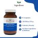 Foods For Gut Bacillus Coagulans Probiotic Powder 350 Billion cfu's | No Additives | Direct from Manufacturer | Digestive & Immune Support | High Potency | B. Coagulans | 30 Grams (1.05 Oz) 1.05 Ounce (Pack of 1) - Buy Online on GoSupps.com