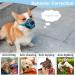 Mayerzon Adjustable Dog Muzzle - Breathable & Comfortable for Small Medium Large Dogs - Ideal for Biting Barking & Chewing (Blue Size S) - Buy Online on GoSupps.com