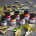 Angelus Leather Paint Starter Kit - Set of 12 (1 oz) Bottles - Buy Online on GoSupps.com