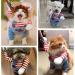 Pet Deadly Doll Dog Costume | Halloween & Christmas Funny Cosplay Costume for Small Dogs - Buy Online on GoSupps.com