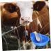 SEWOART Water Dispenser Livestock Water Fountain Cattle Drinker Bowl Drinking Bowl Automatic Drinking Trough - Buy Online on GoSupps.com