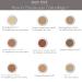 Malu Wilz Beaut Camouflage Cream - 6g Walnut Brown Squirrel | Buy Internationally - Best Concealer for Flawless Skin - Buy Online on GoSupps.com