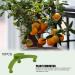 Plant Trainers Clips for Optimal Growth | Bend Branch Clips for Fruit Trees & Bonsai | International Shipping Available - Buy Online on GoSupps.com