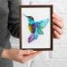 Quilling Kit for Adults Beginner - Hummingbird DIY Craft Wall Art Decor - Paper Quilling Tools (Basic) - Buy Online on GoSupps.com