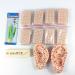 Buy Earred Acupuncture Stickers - Multi-State Ear Seed Set for Facial Reflexology | AKUPR Ear Seed Tools - Buy Online on GoSupps.com
